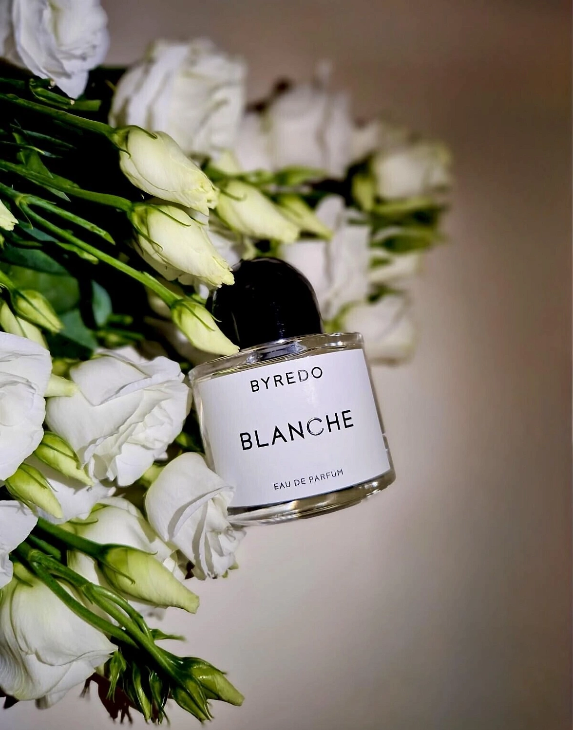 BYREDO Blanche
