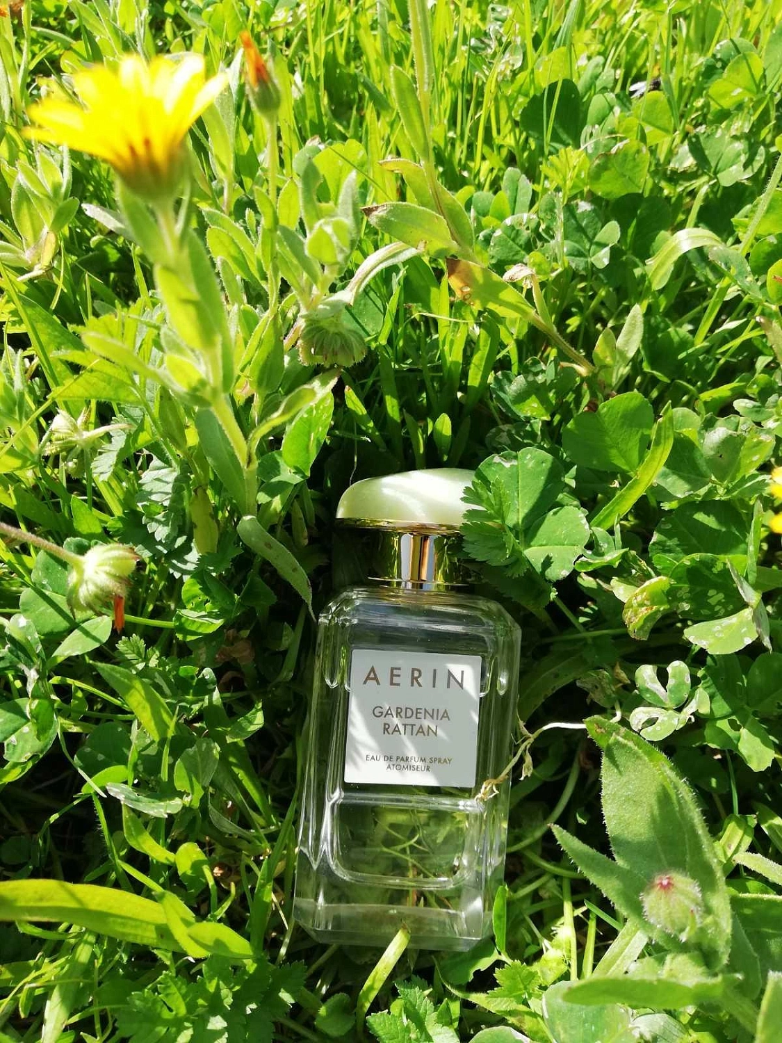 AERIN Gardenia Rattan