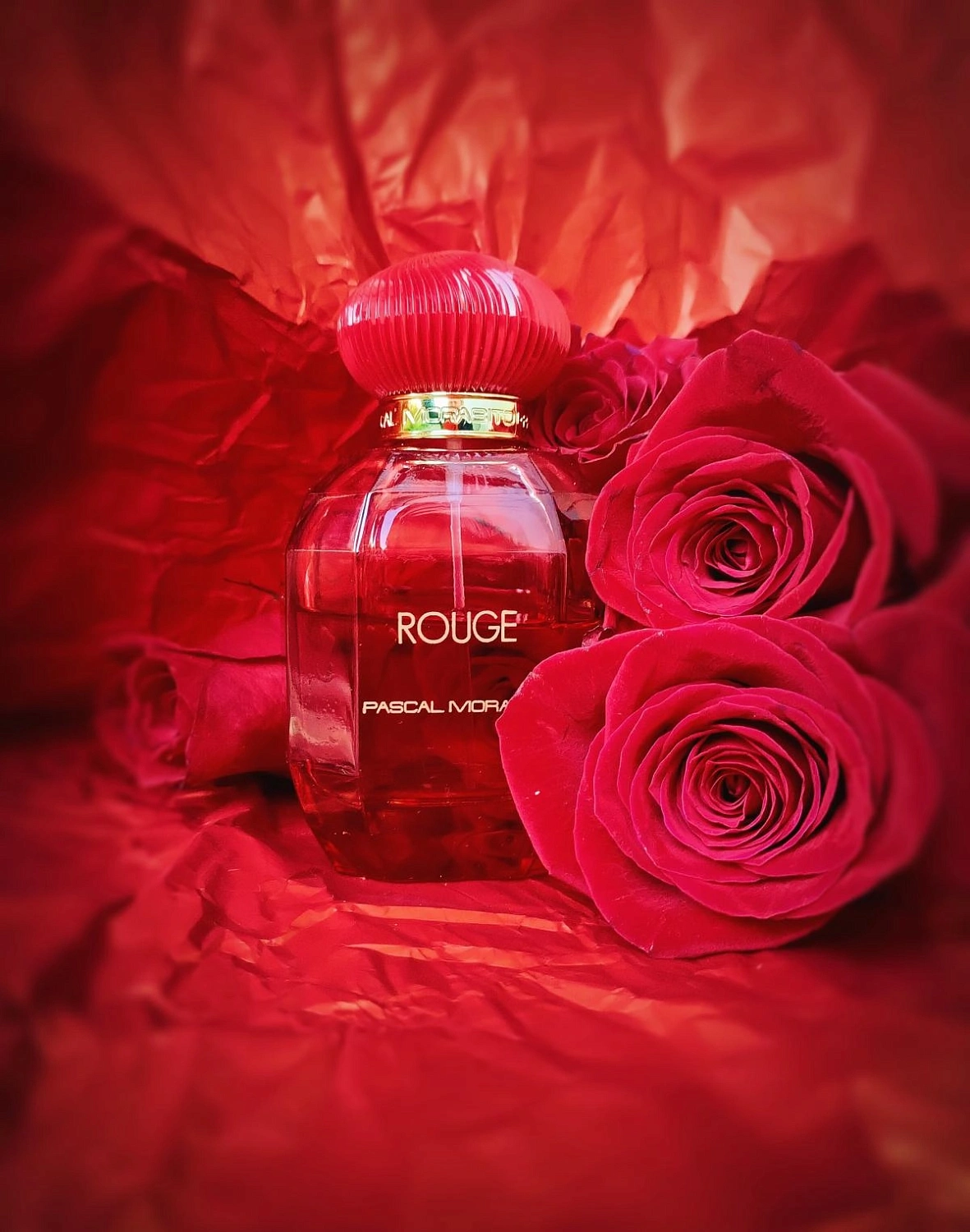 Pascal Morabito Rouge
