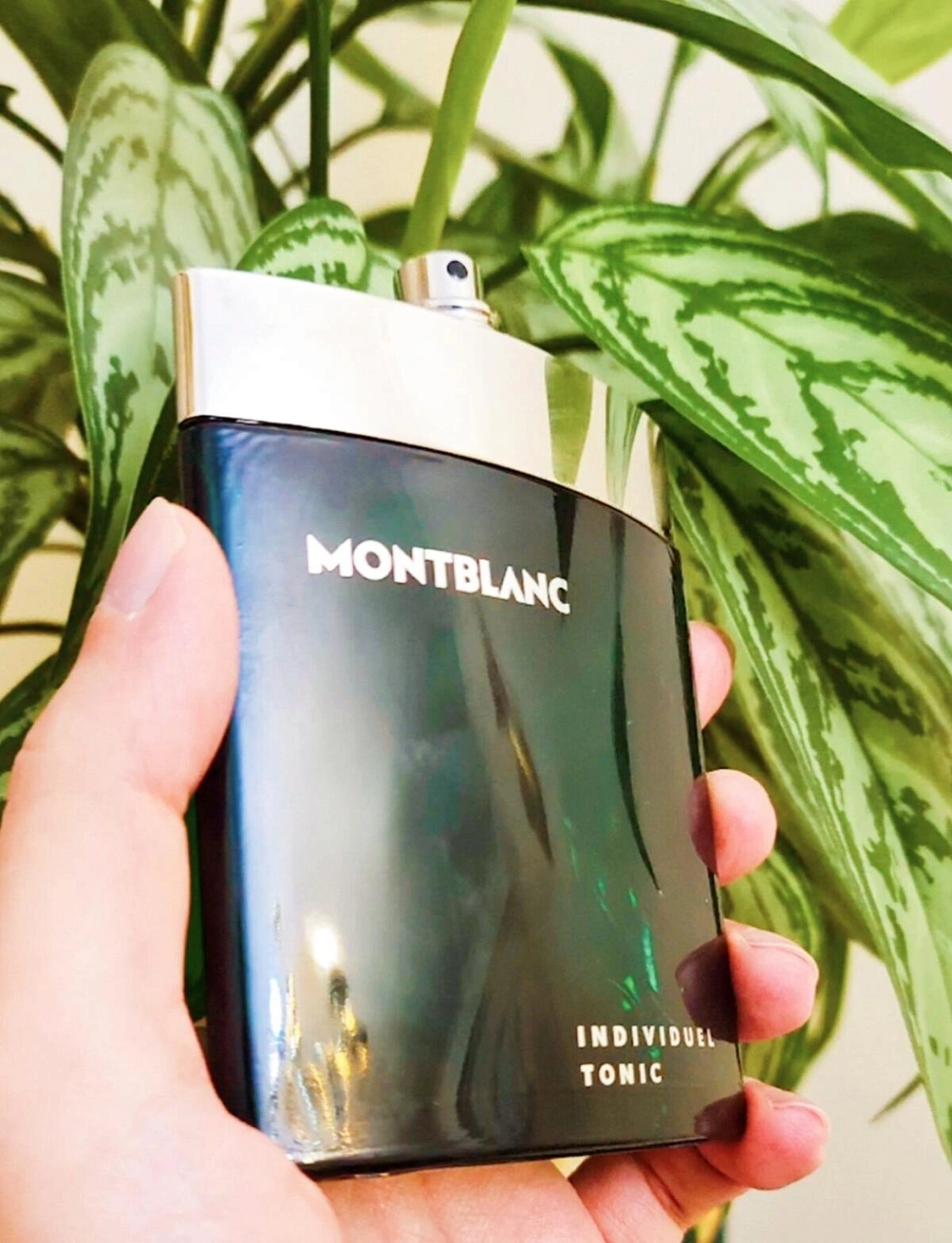Montblanc Individuel Tonic