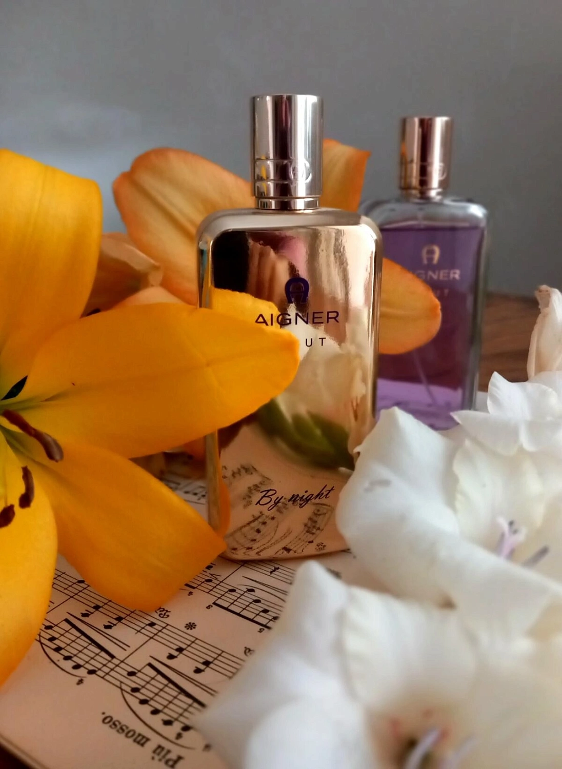 Aigner Debut by Night