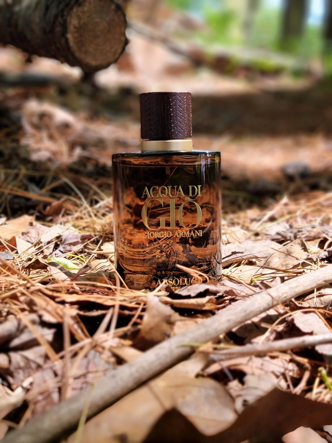 Armani Acqua di Gio Absolu Instinct