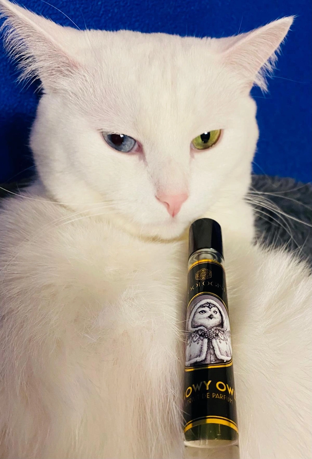 Zoologist Perfumes Snowy Owl