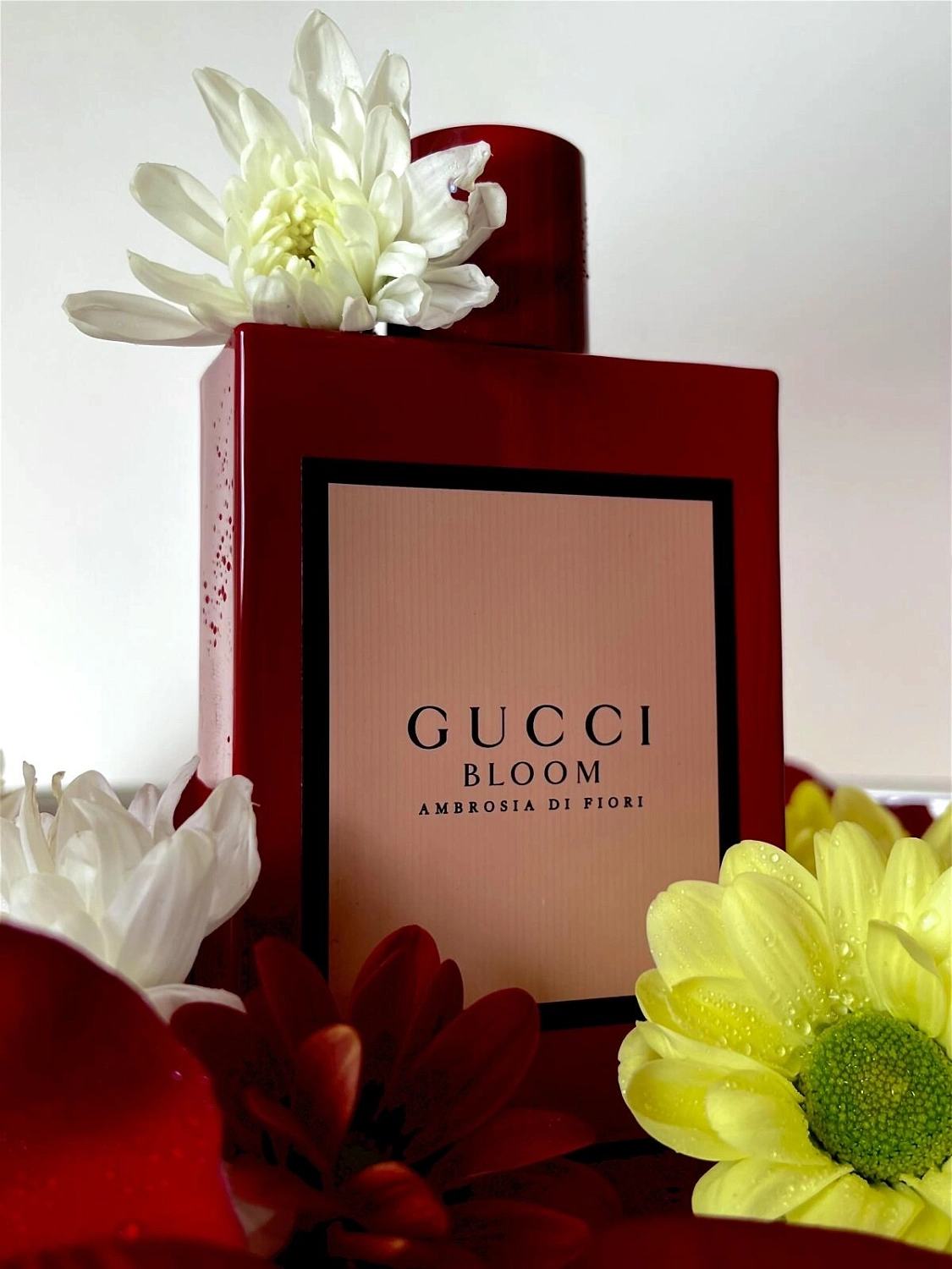Gucci Bloom Ambrosia Di Fiori