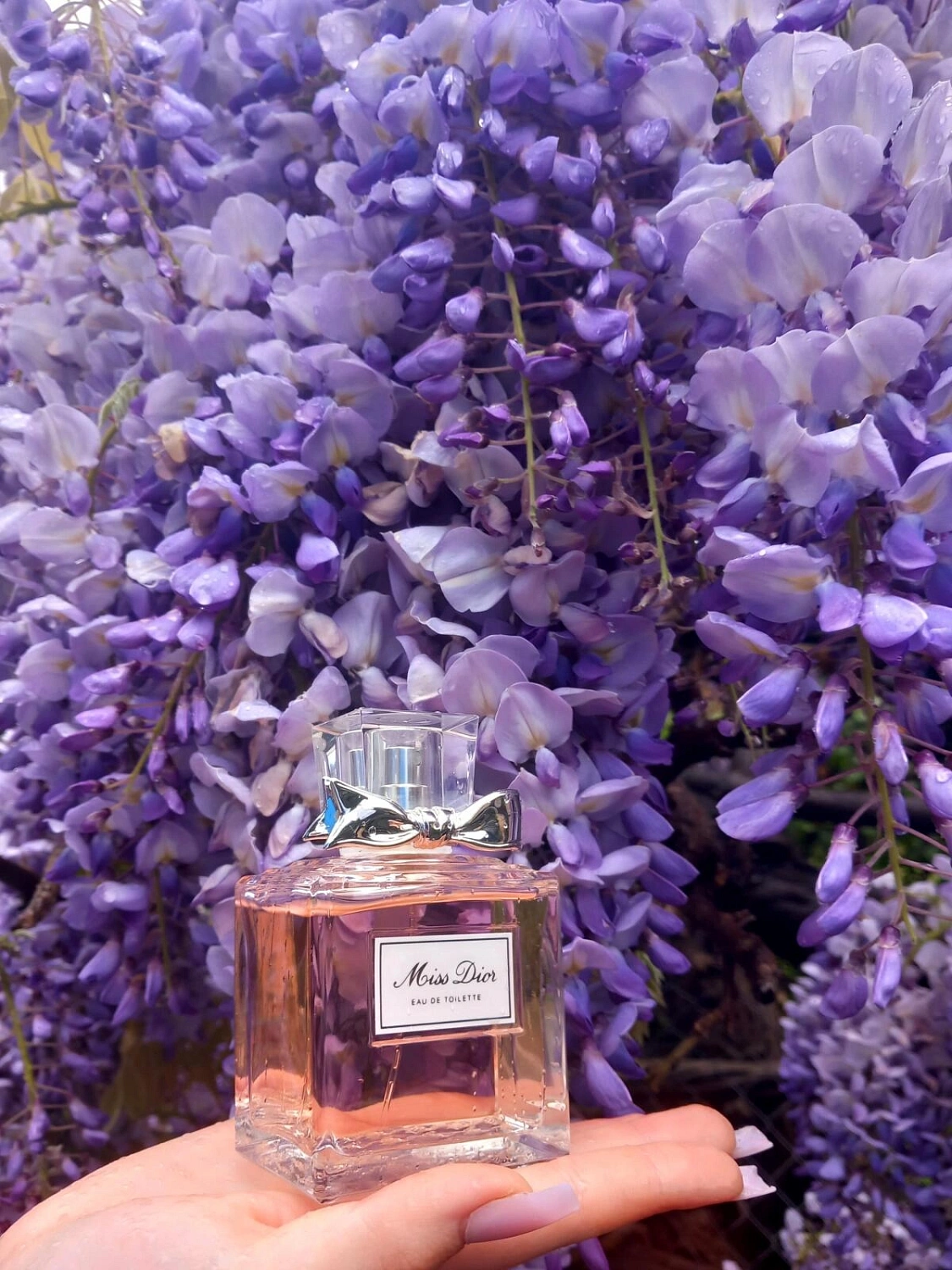 Christian Dior Miss Dior Eau de Toilette 2019