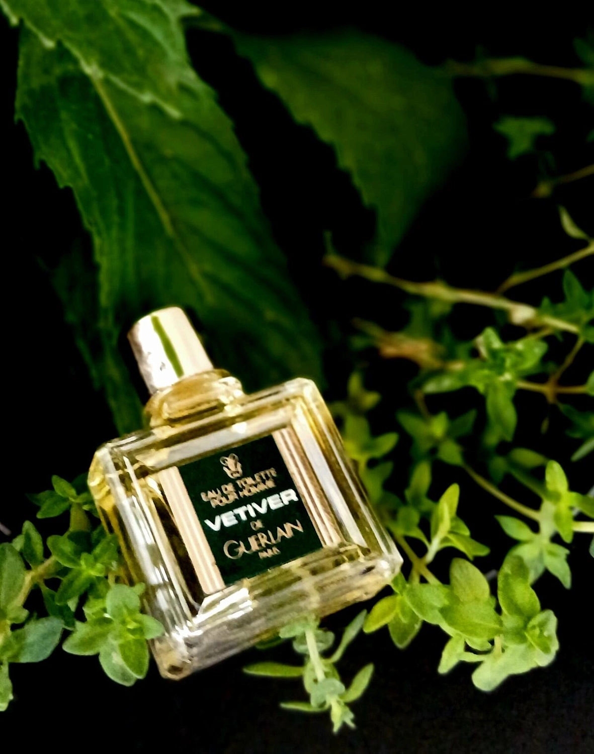 Guerlain Vetiver