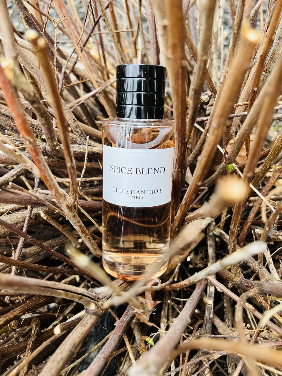 Christian Dior Spice Blend