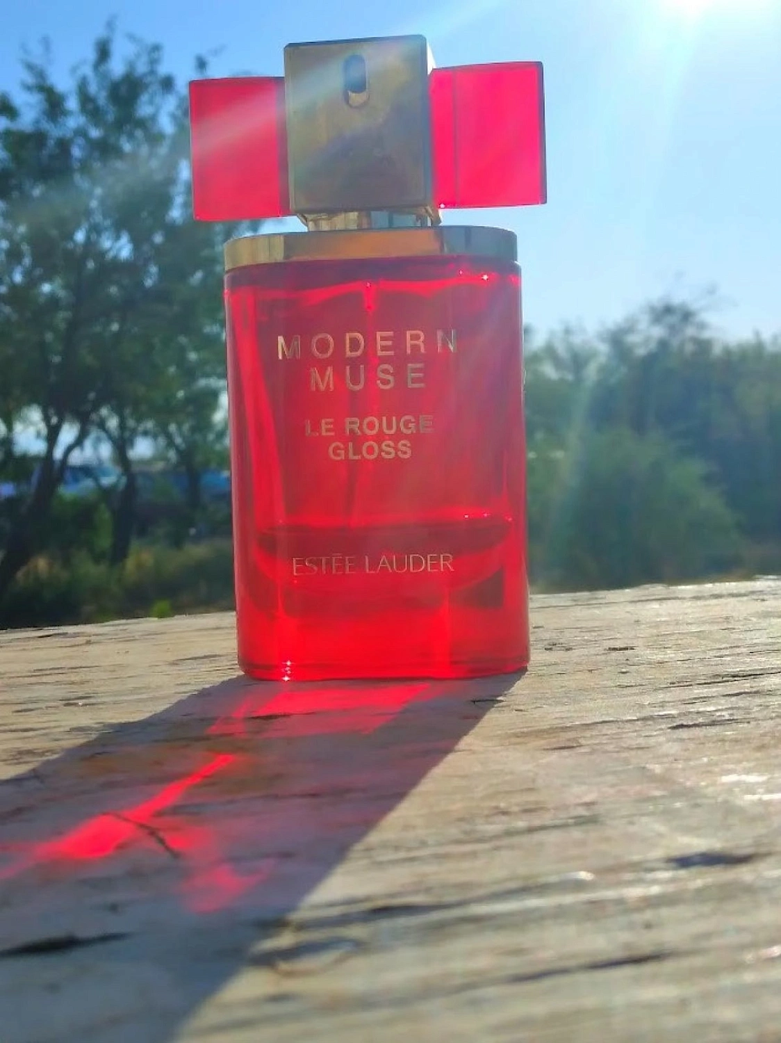Estée Lauder Modern Muse Le Rouge Gloss