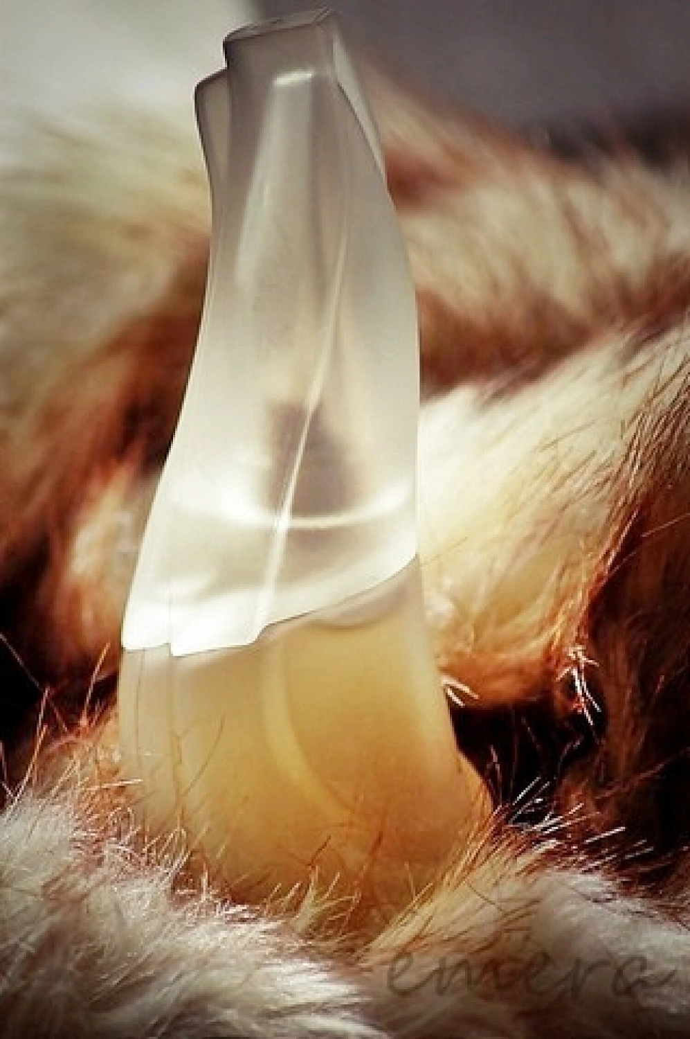DKNY Cashmere Mist