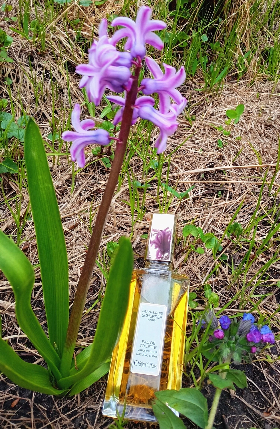 Jean-Louis Scherrer Eau de Parfum