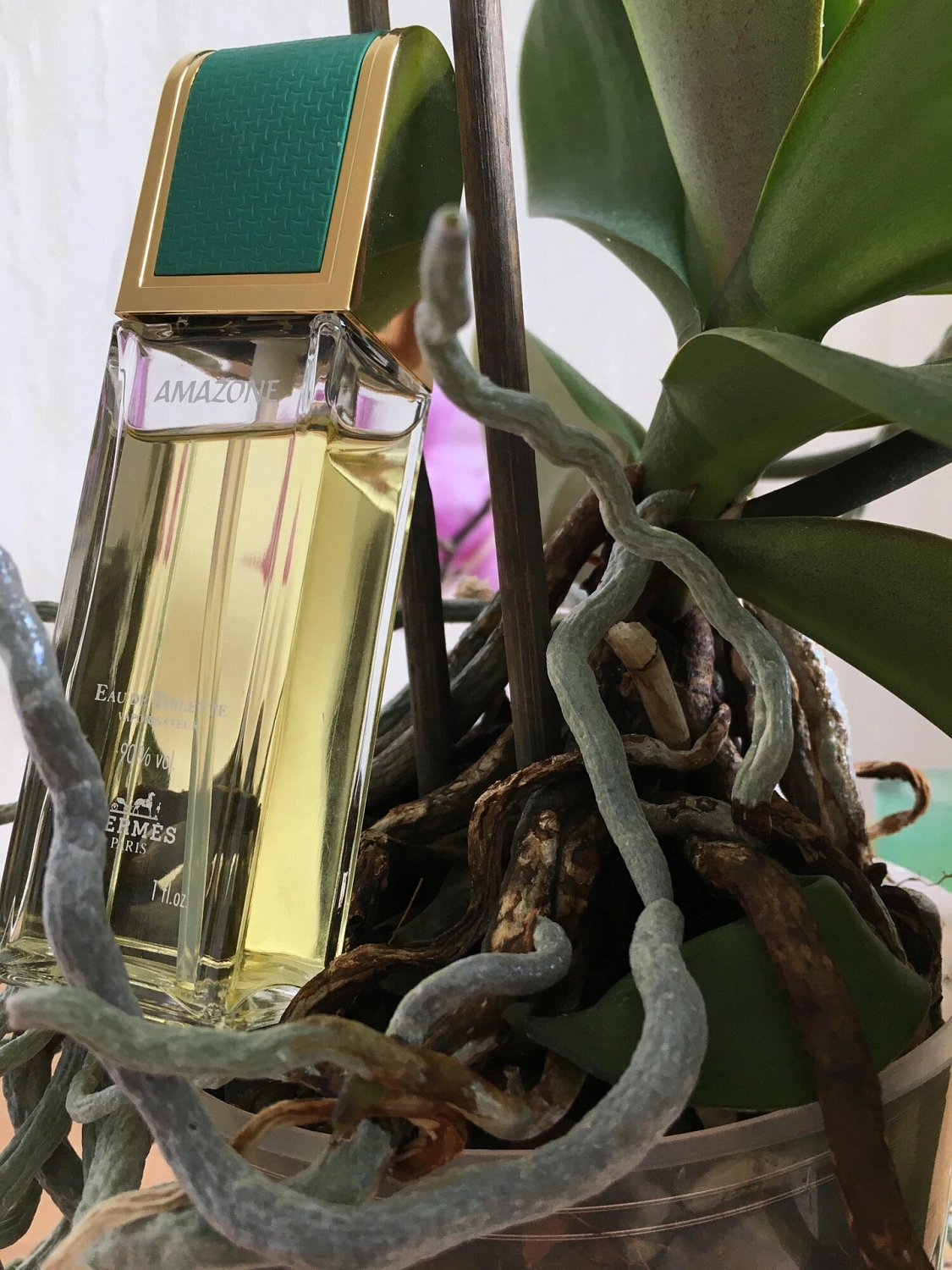 Hermès Amazone