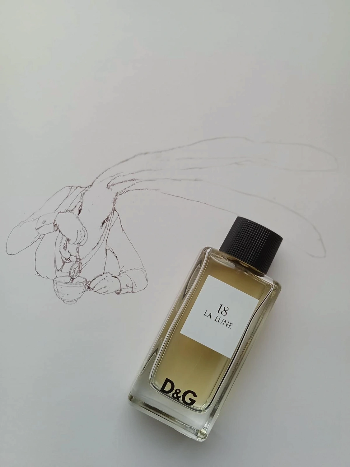 Dolce & Gabbana Anthology La Lune 18