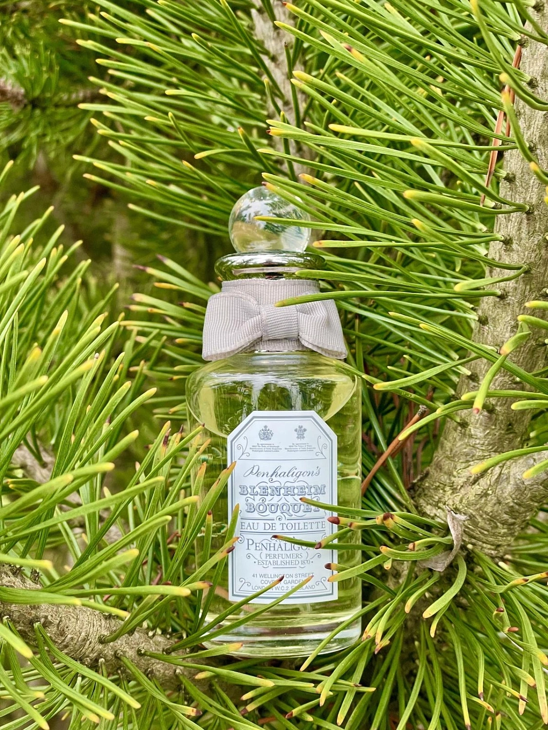 Penhaligon's Blenheim Bouquet