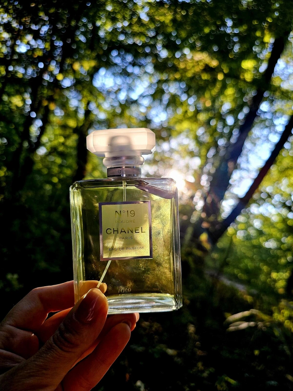 Chanel N°19 Poudre