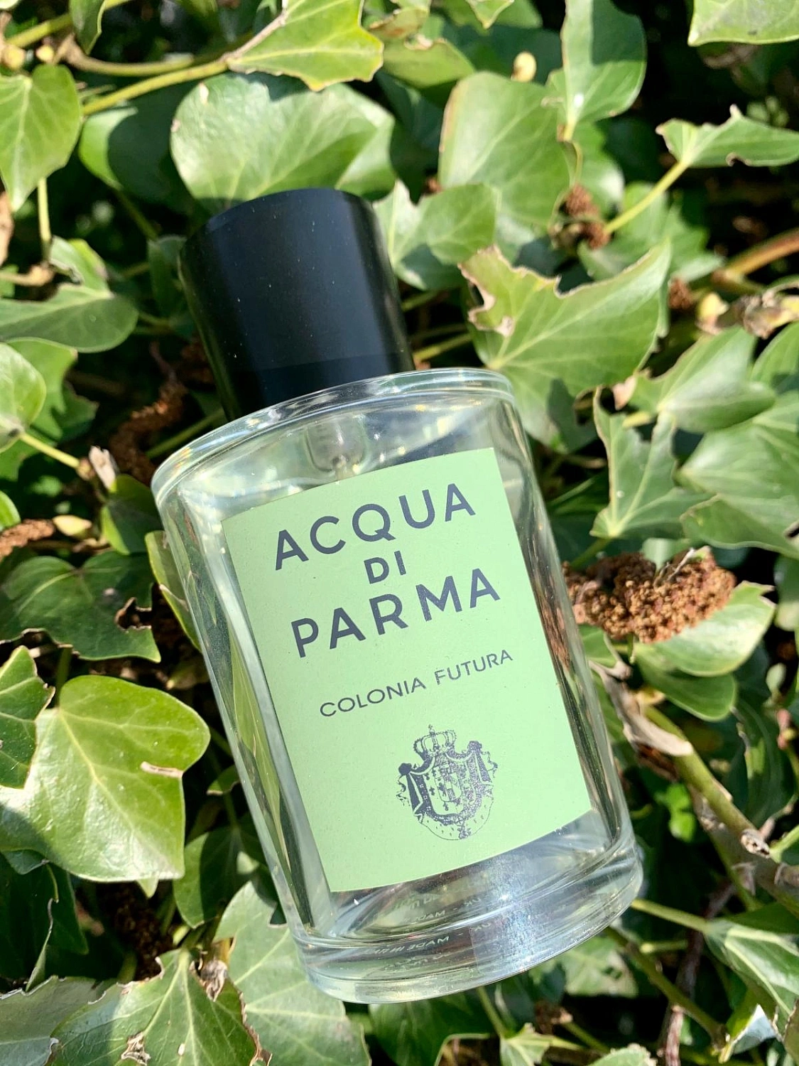 Acqua di Parma Colonia Futura