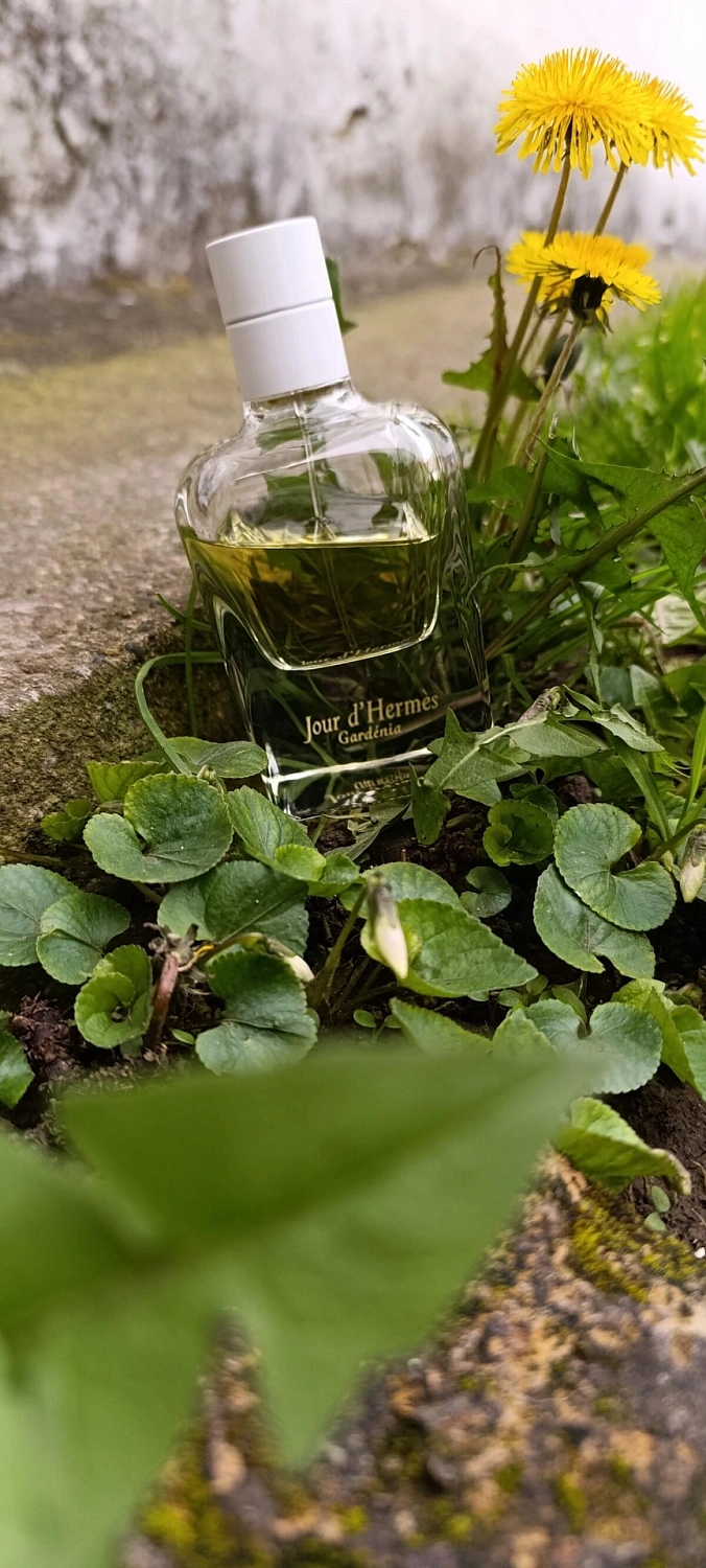 Jour d'Hermès Gardenia