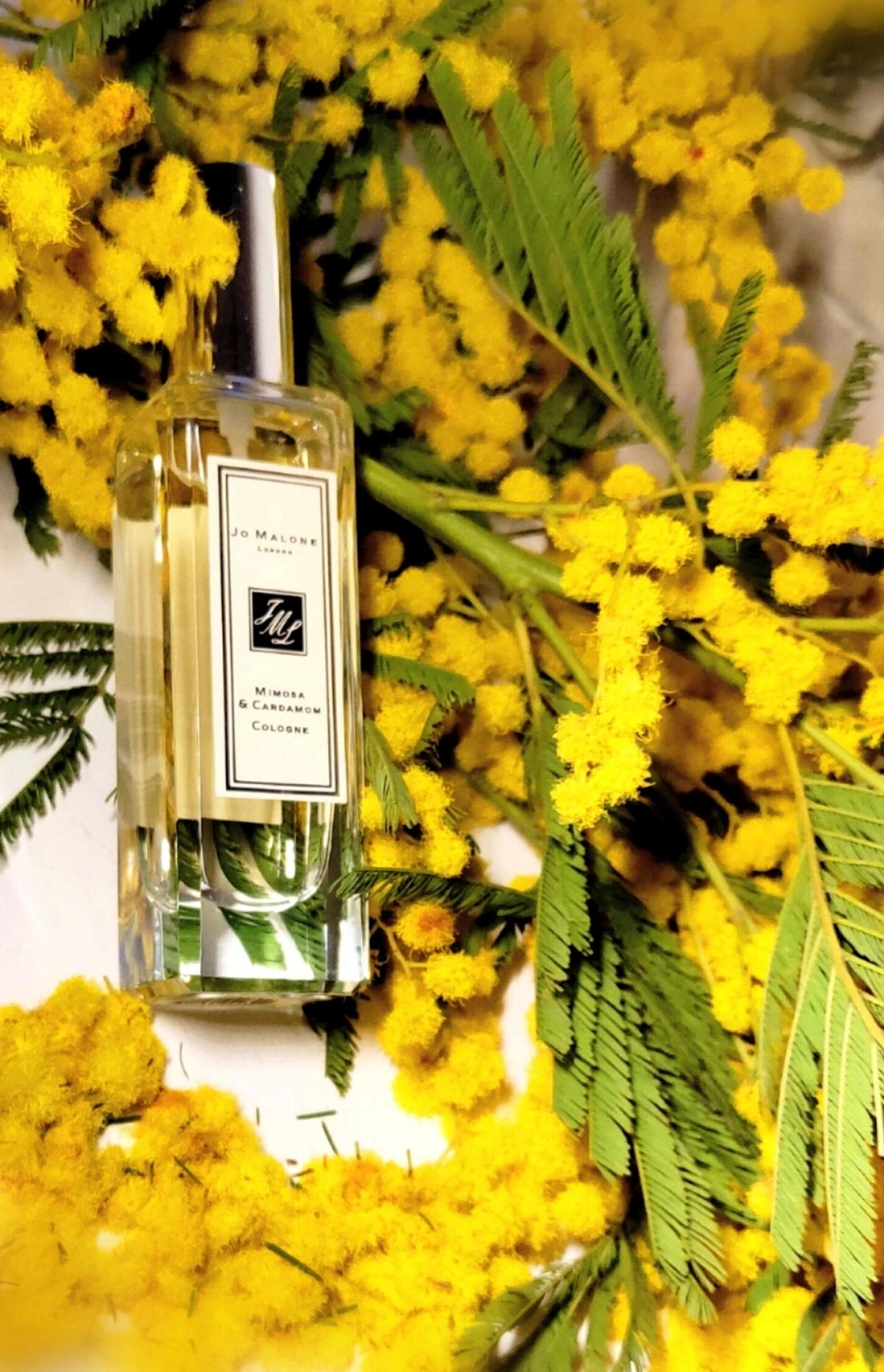 Jo Malone Mimosa & Cardamom