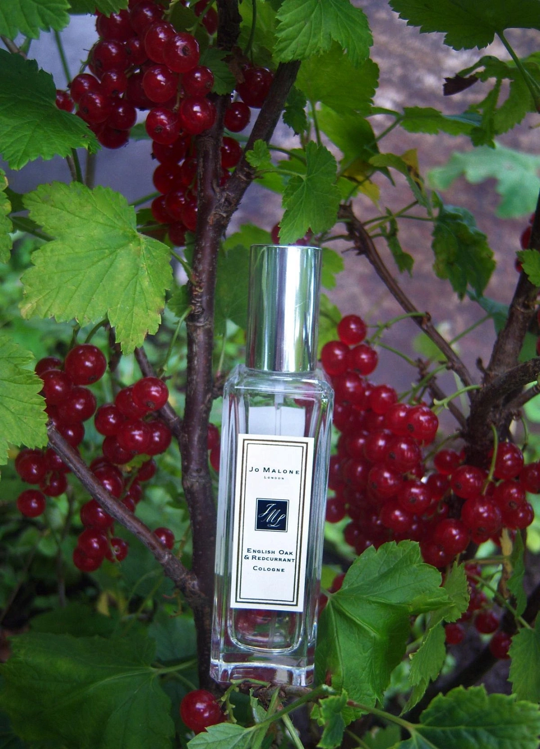 Jo Malone English Oak & Redcurrent