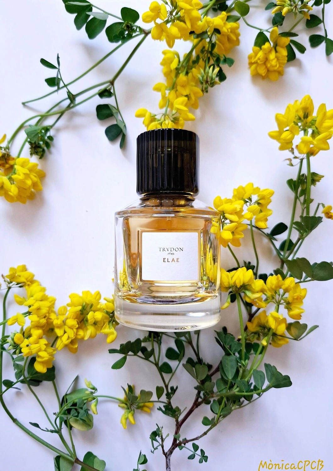 Maison Trudon Elae