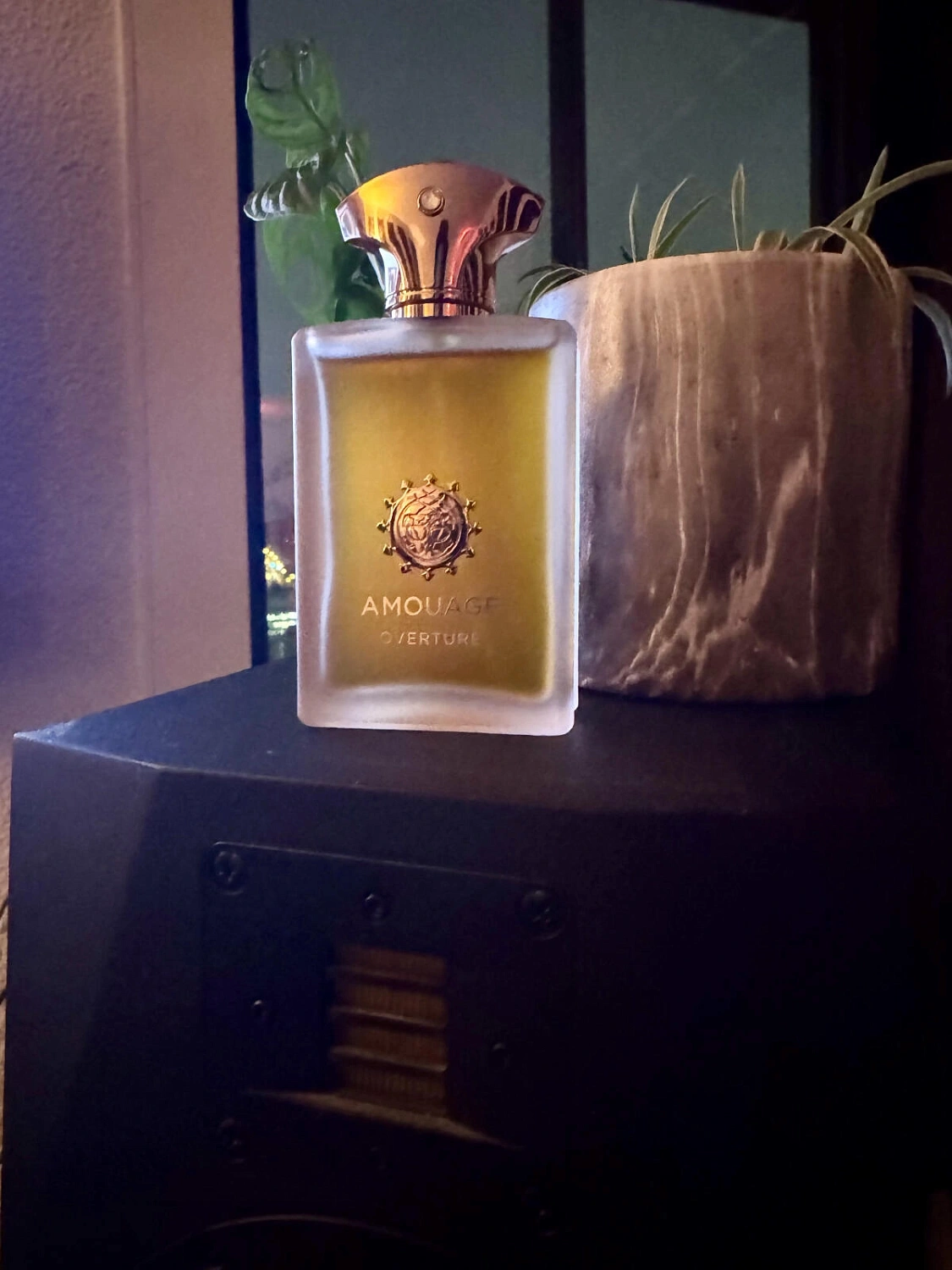 Amouage Overture Man