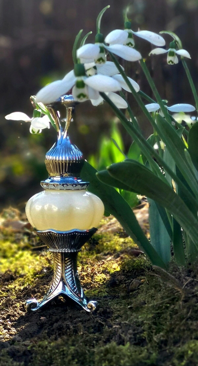 Bait Al Bakhoor Supreme Musk