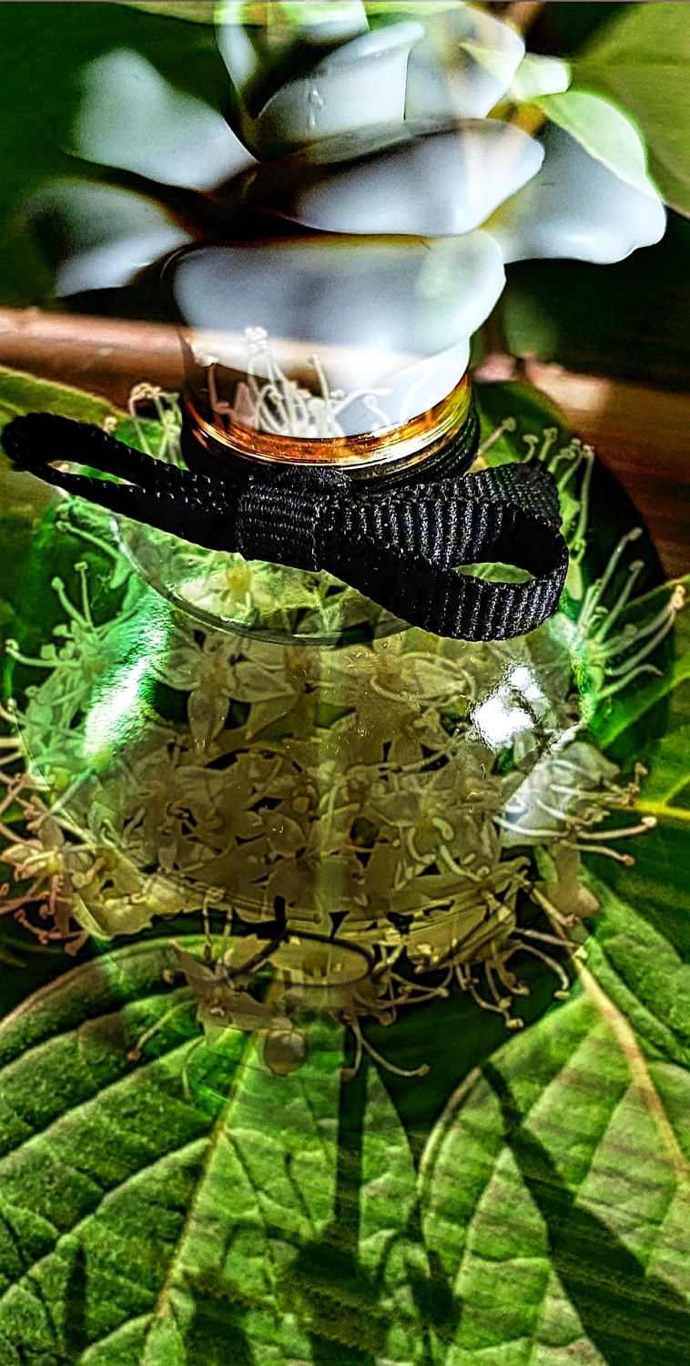 Dolce & Gabbana Dolce