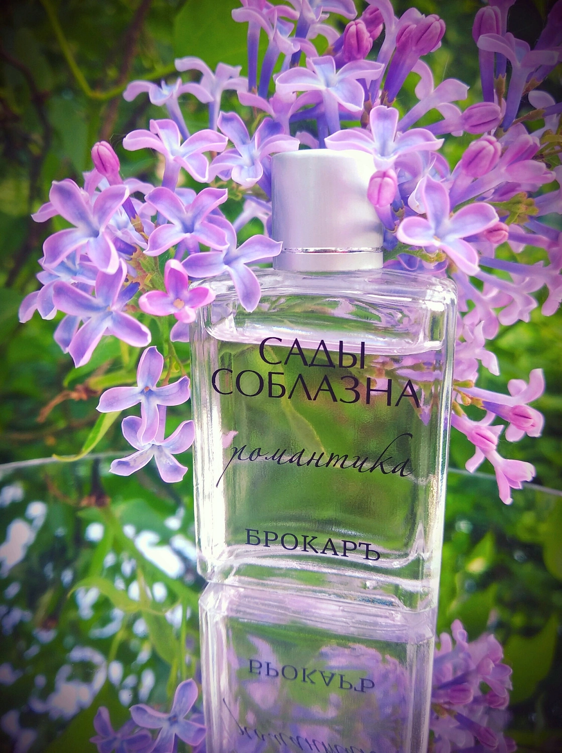 Brocard Сады Соблазна Романтика