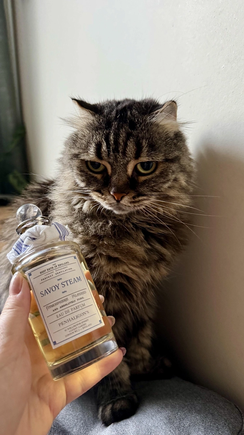 Penhaligon's Savoy Steam
