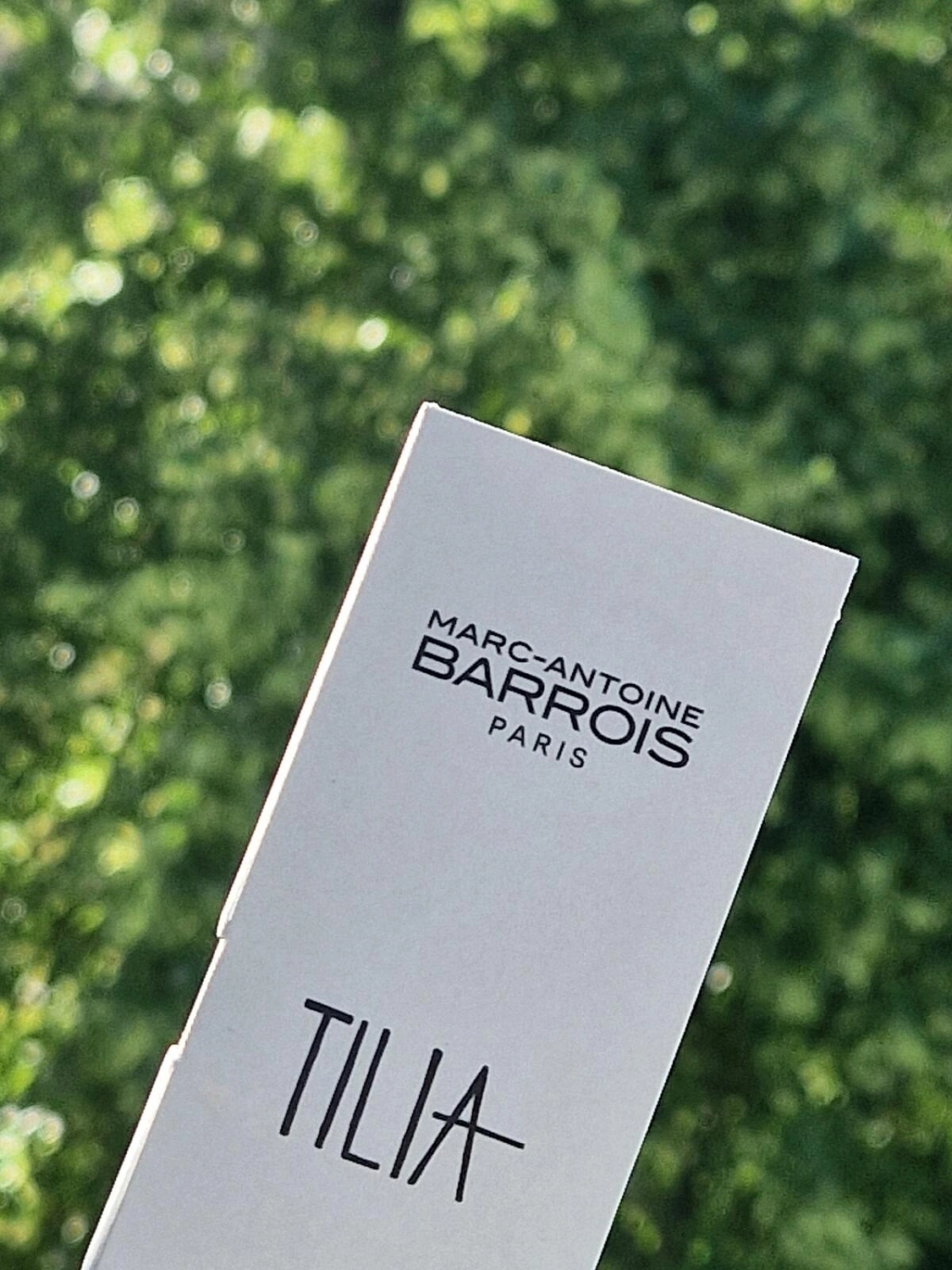 Marc-Antoine Barrois Tilia
