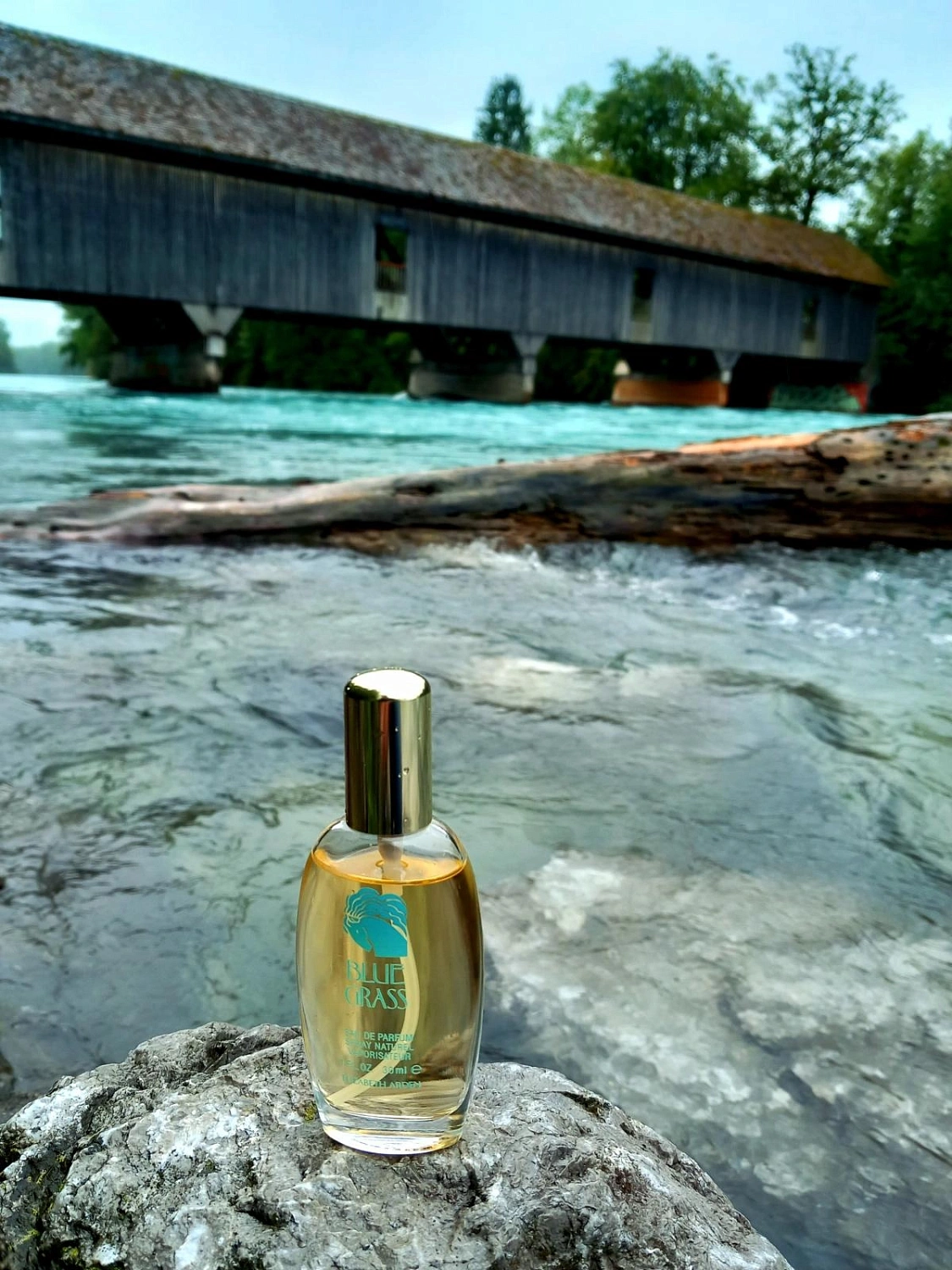 Elizabeth Arden Blue Grass