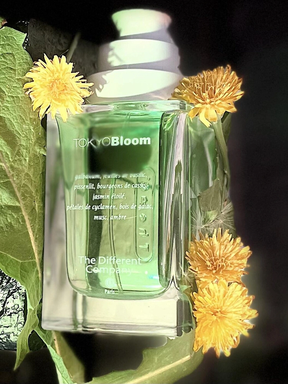 The Different Company Tokyo Bloom