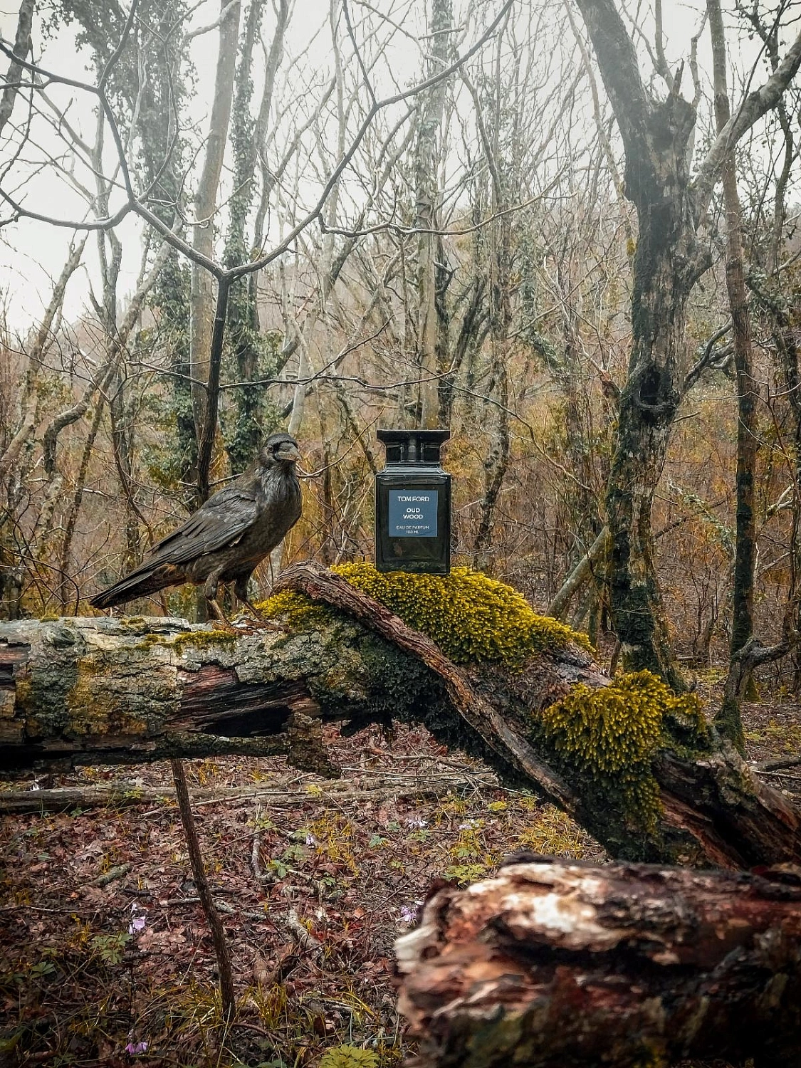 Tom Ford Oud Wood
