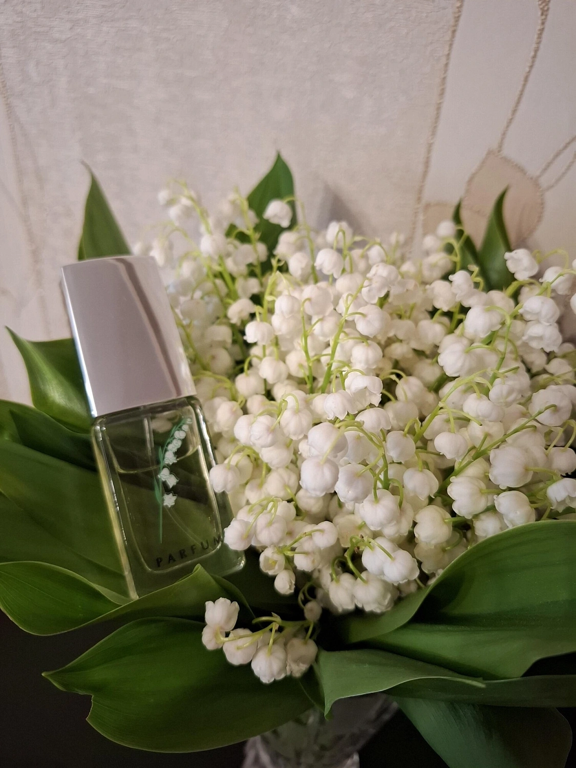 Novaya Zarya (Новая Заря) Ландыш Серебристый (Muguet Argente)