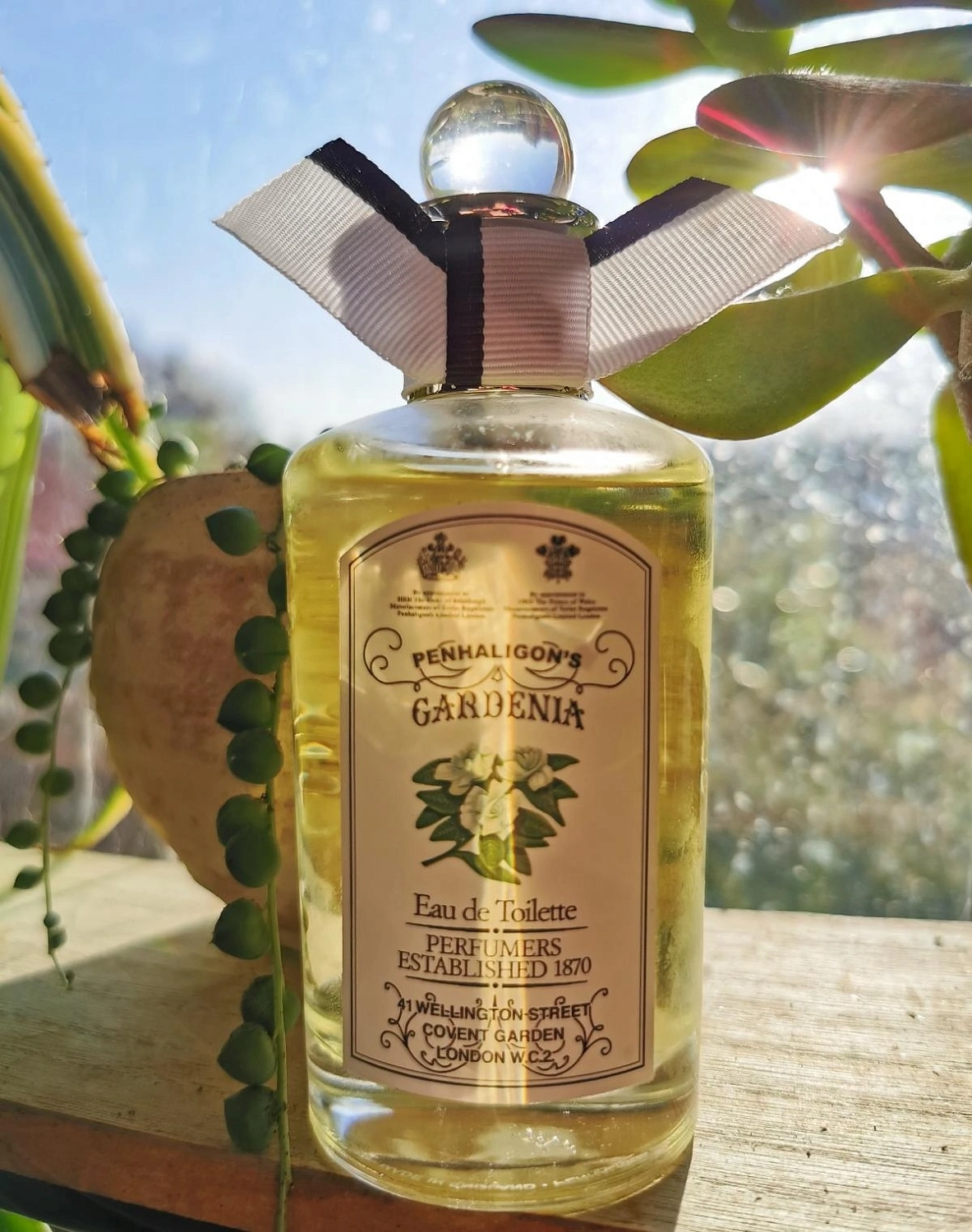 Penhaligon's Anthology Gardenia
