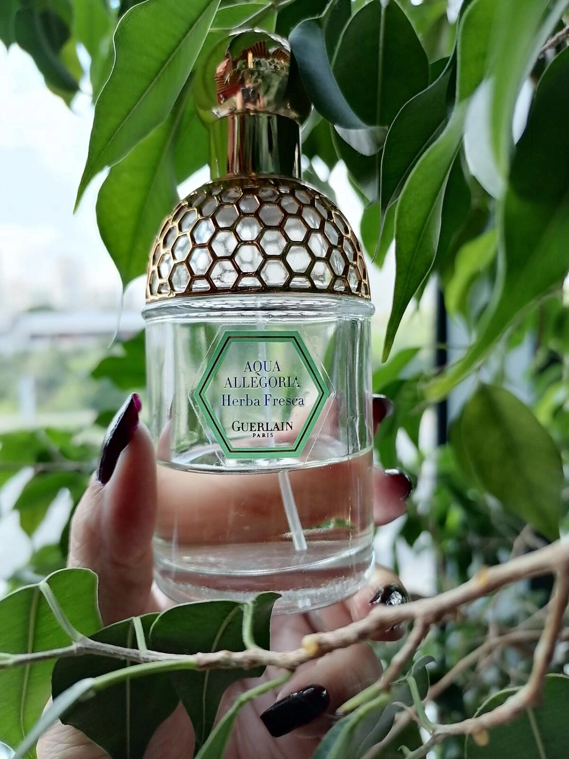 Guerlain Aqua Allegoria Herba Fresca