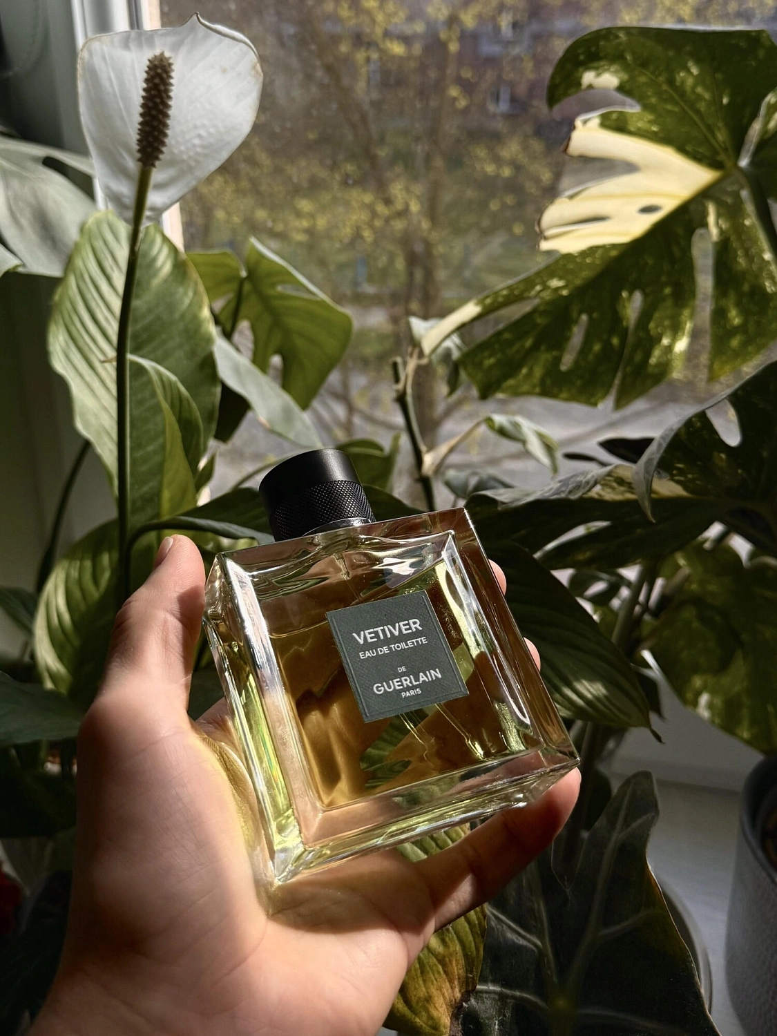 Guerlain Vetiver