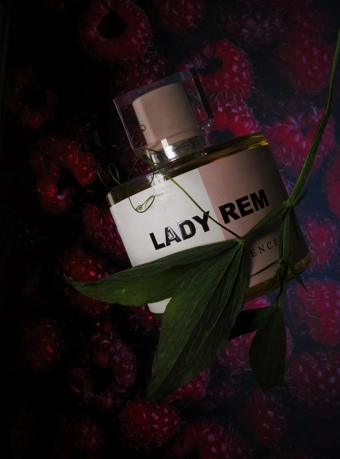Reminiscence Lady Rem