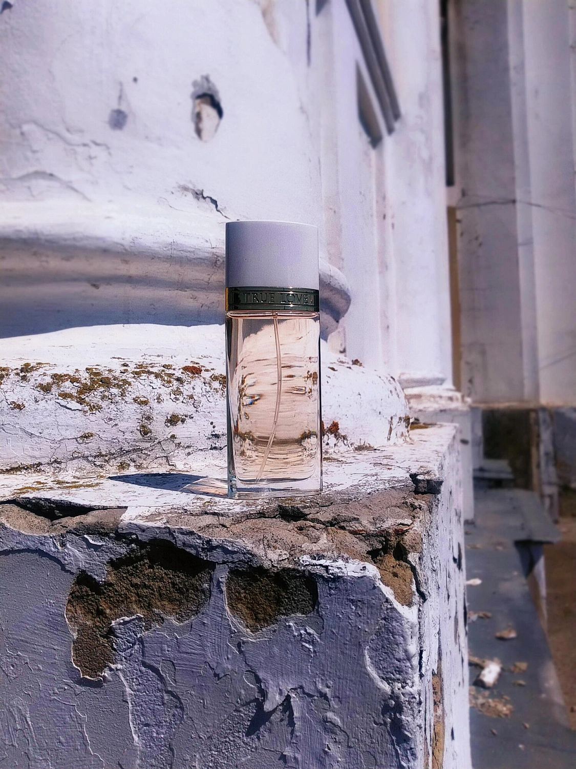 Elizabeth Arden True Love