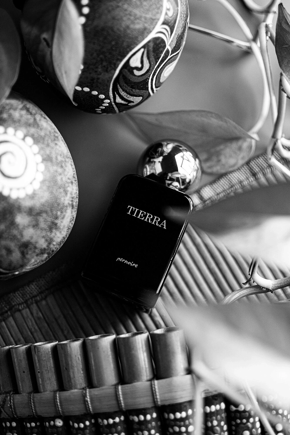 Pernoire Tierra
