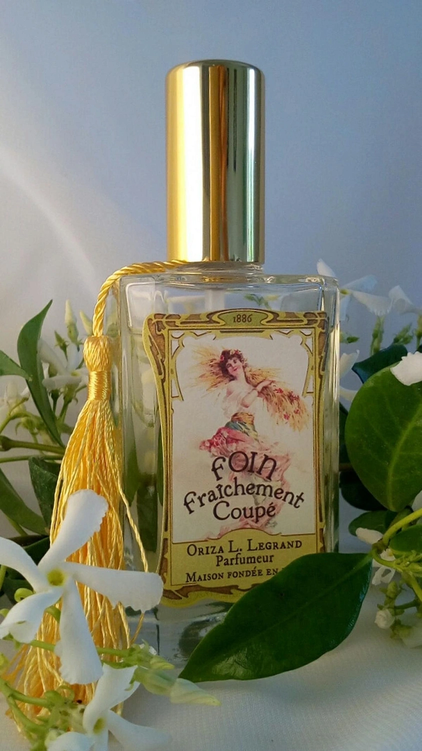 Oriza L. Legrand Foin Fraichement Coupe