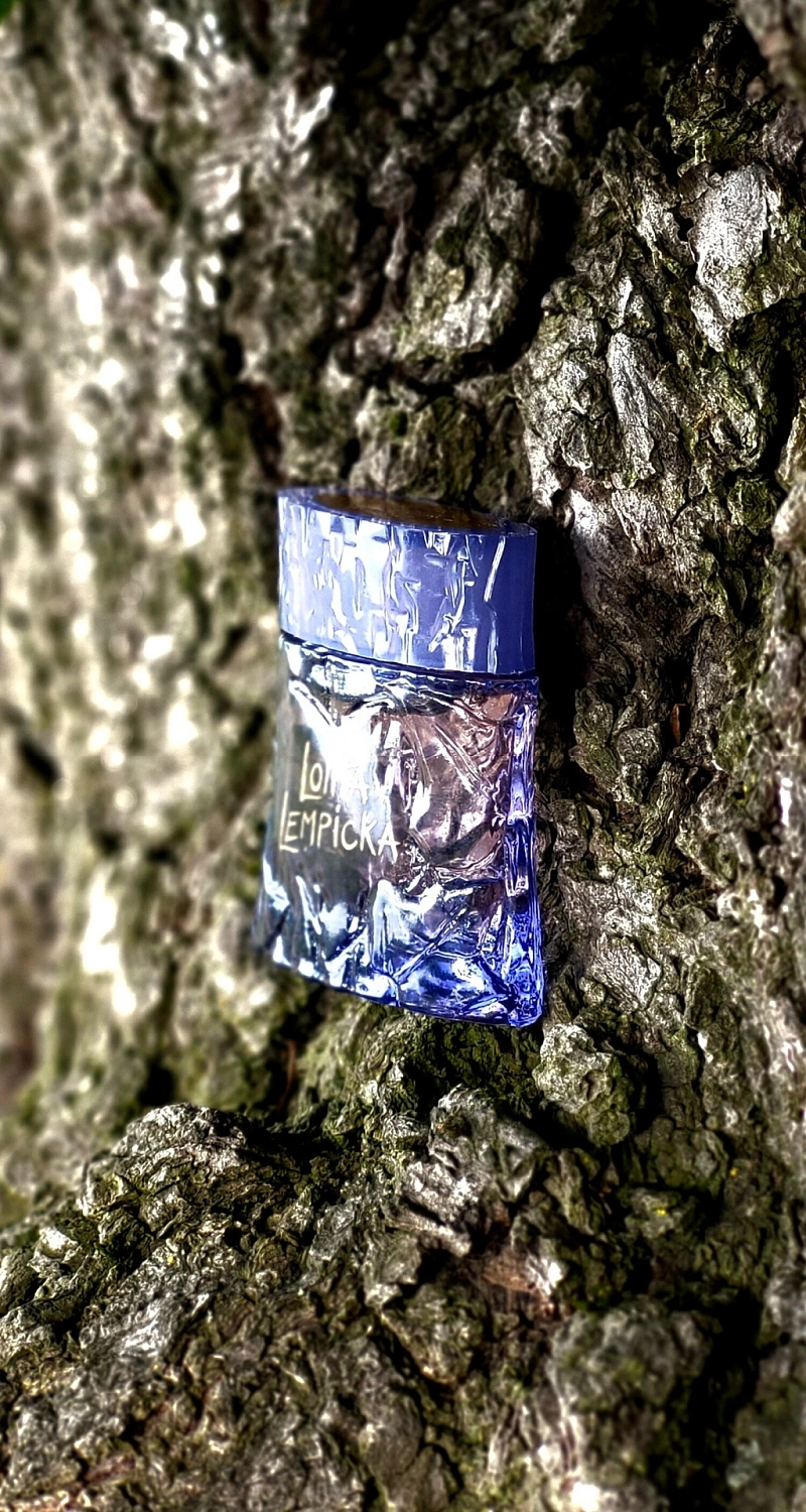 Lolita Lempicka Au Masculin Collector