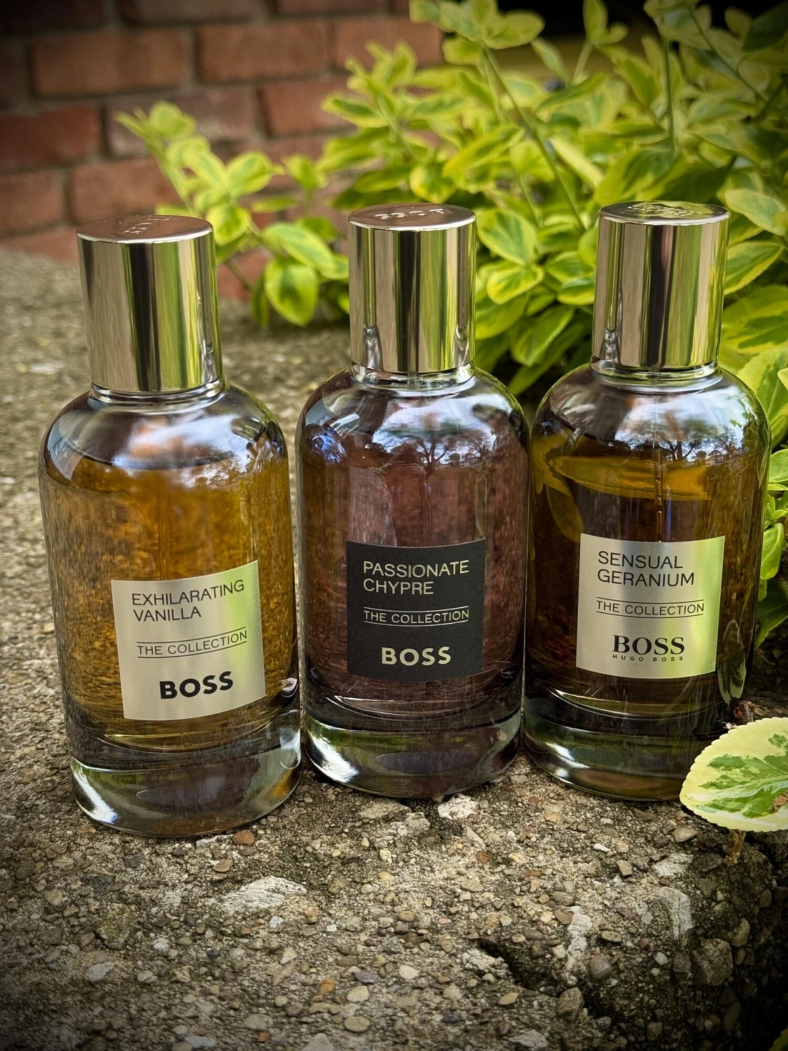 Hugo Boss Sensual Geranium