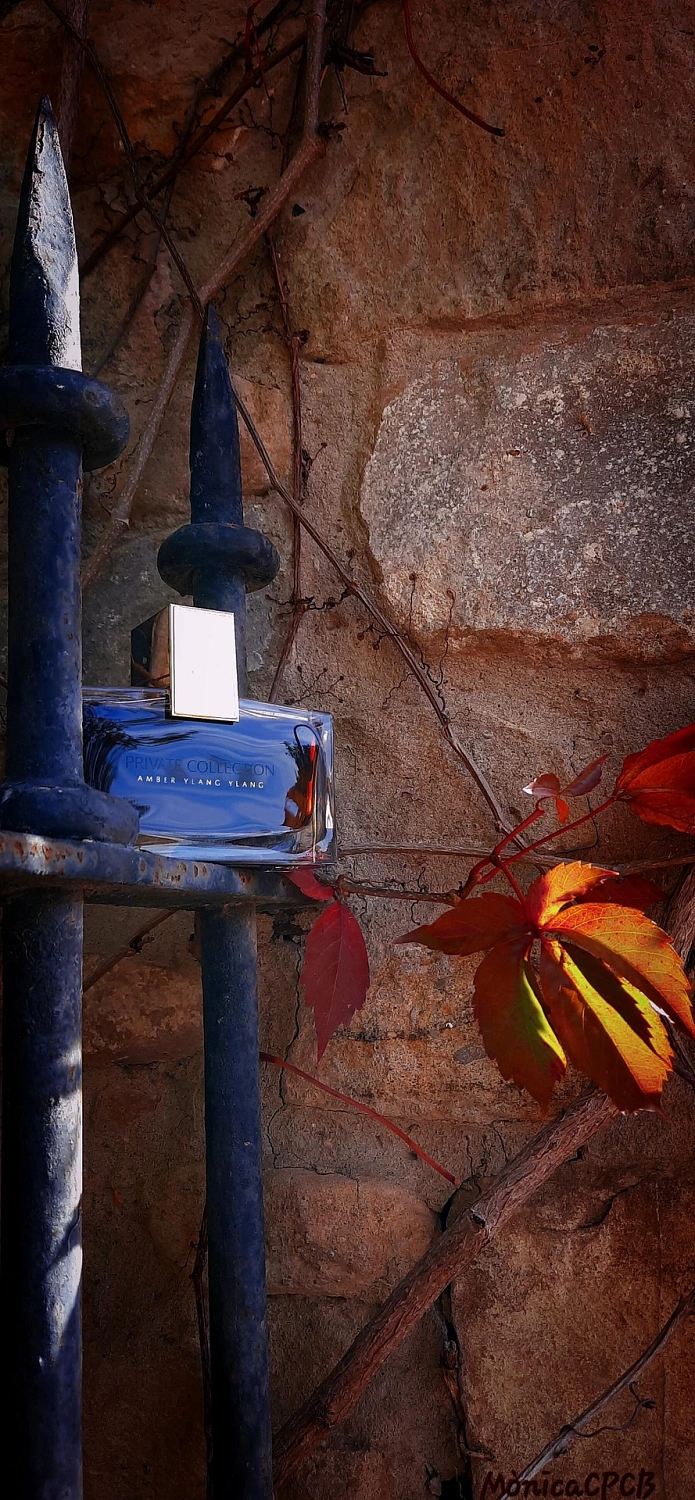 Estée Lauder Private Collection Amber Ylang Ylang