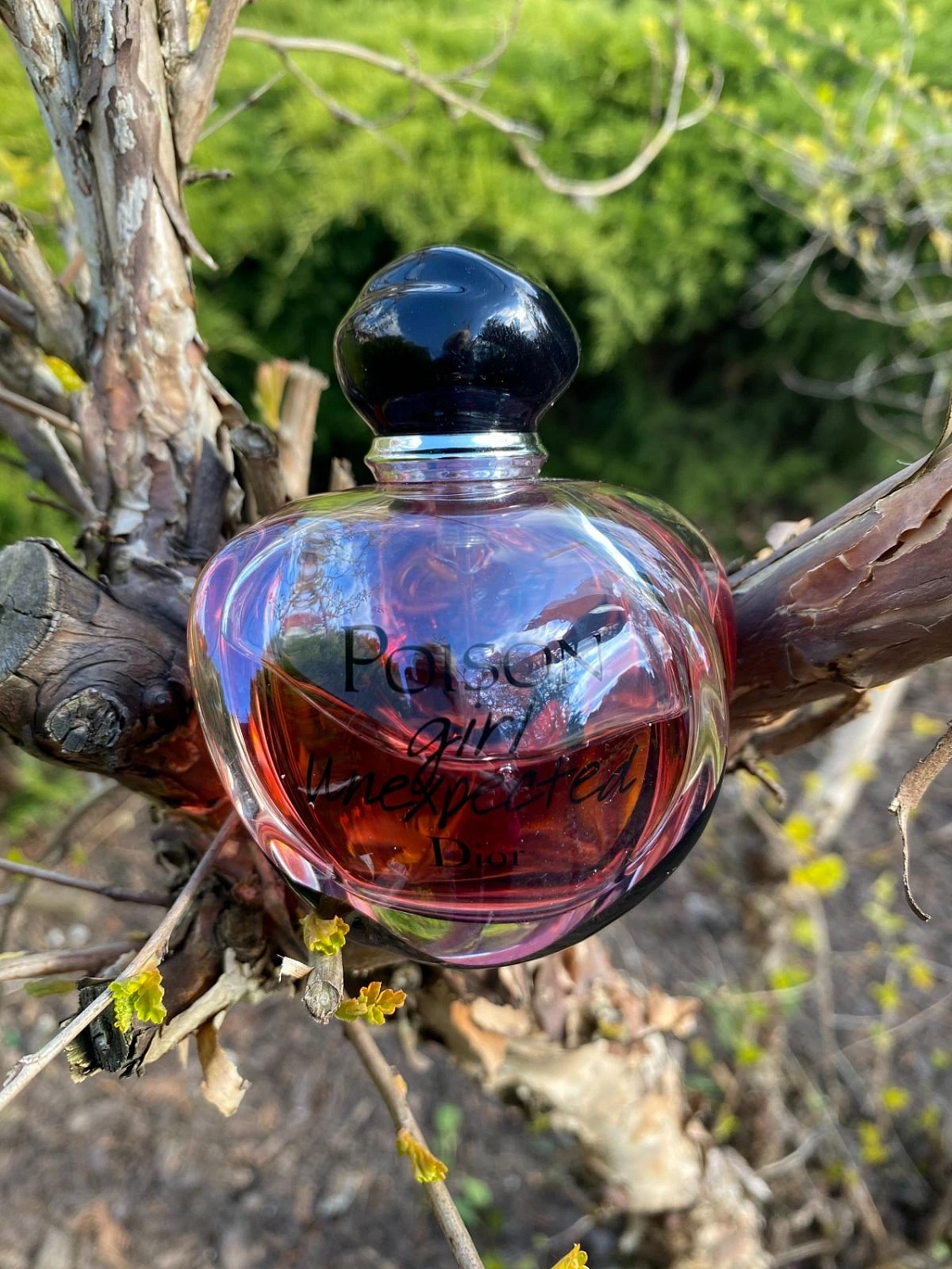 Christian Dior Poison Girl Unexpected
