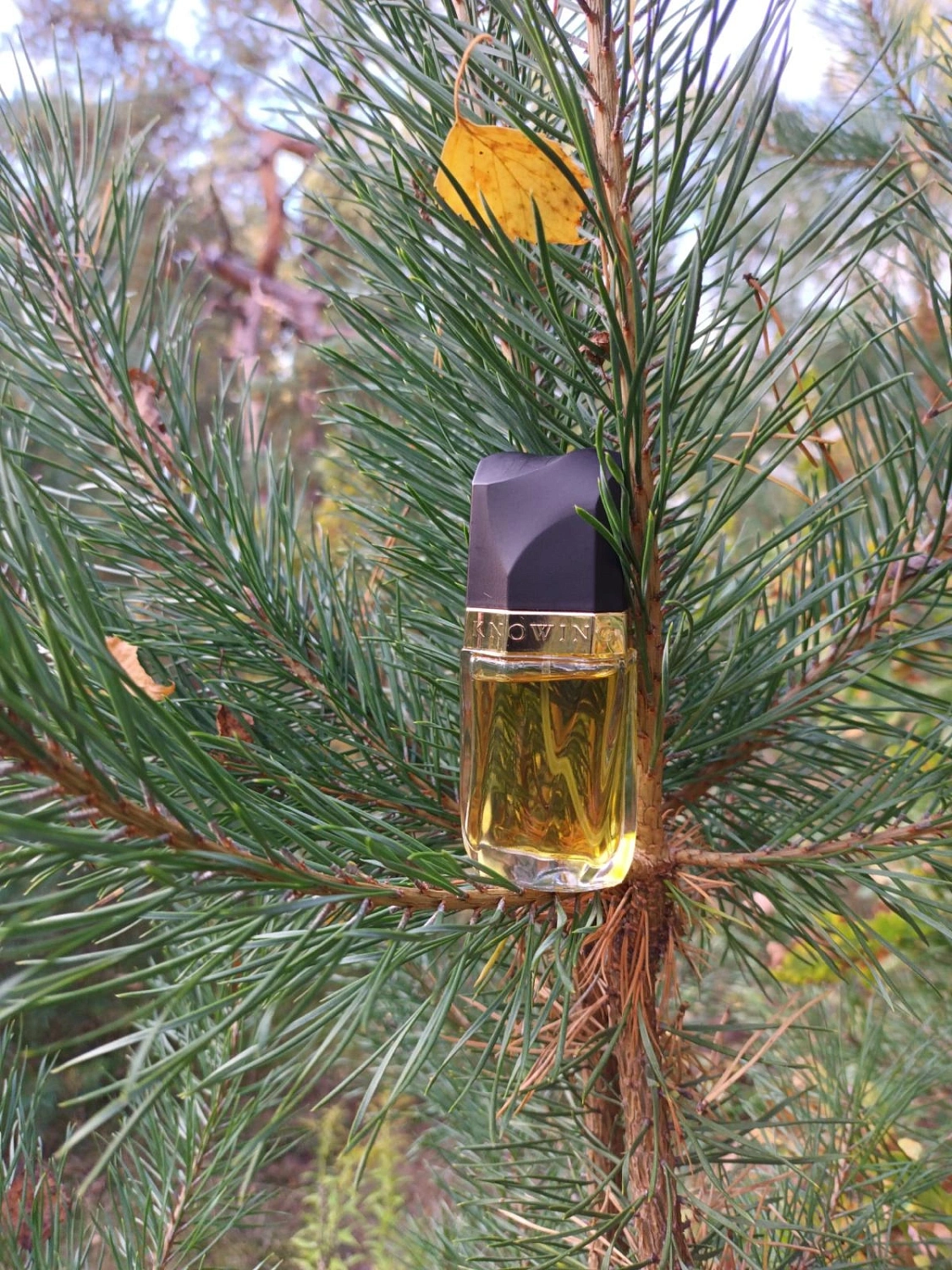 Estée Lauder Knowing