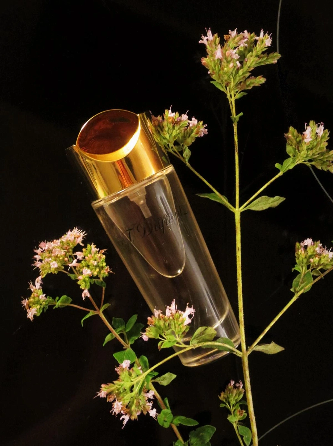 S.T. Dupont pour Femme Special Edition