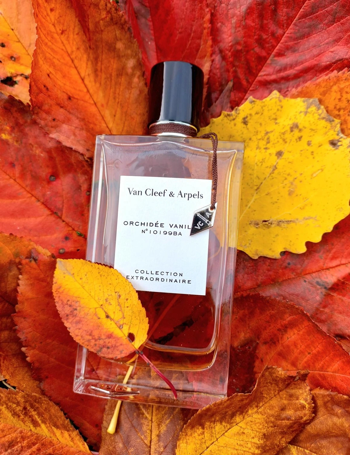 Van Cleef & Arpels Collection Extraordinaire Orchidee Vanille