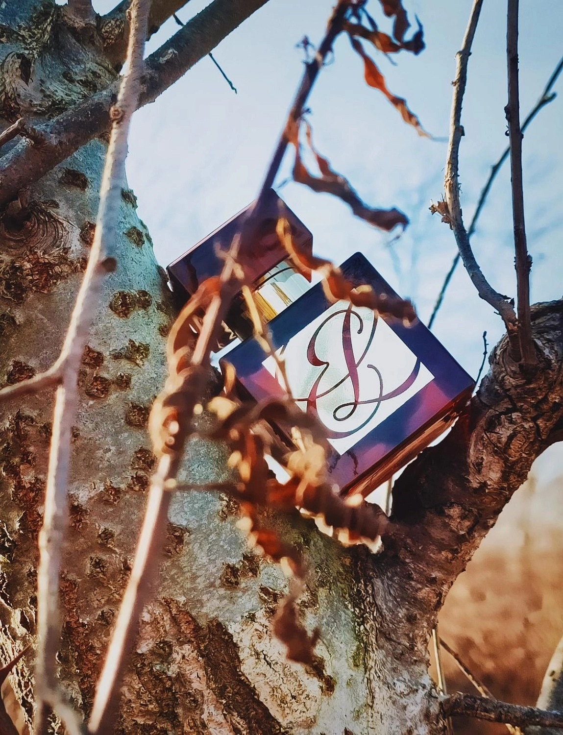 Estée Lauder Amber Mystique