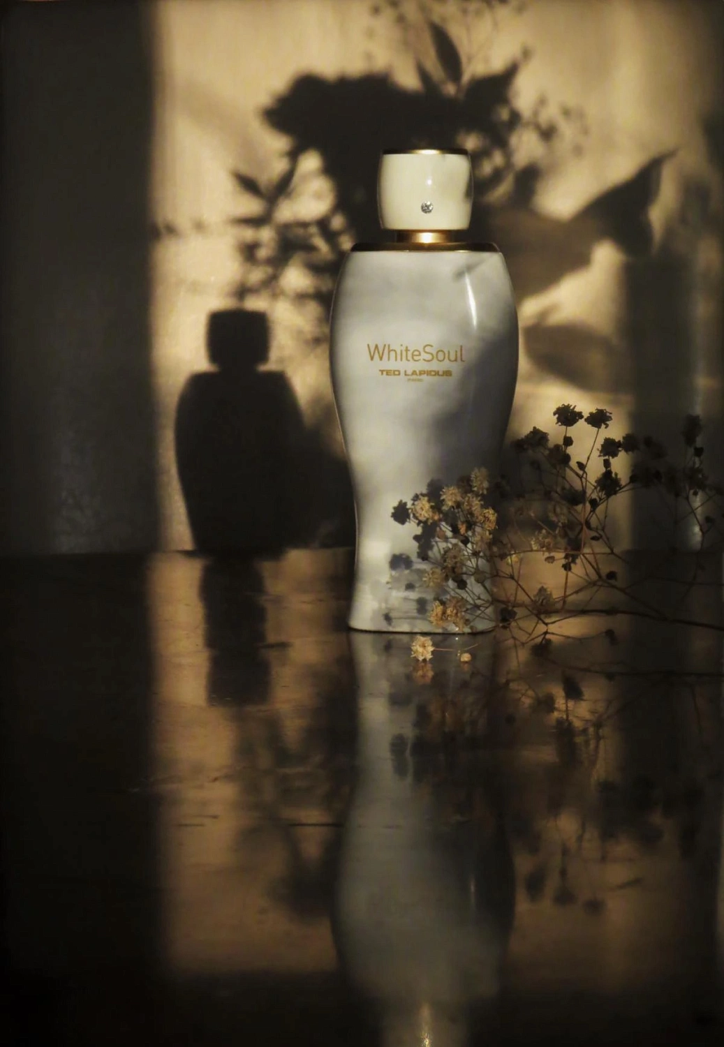 Ted Lapidus White Soul