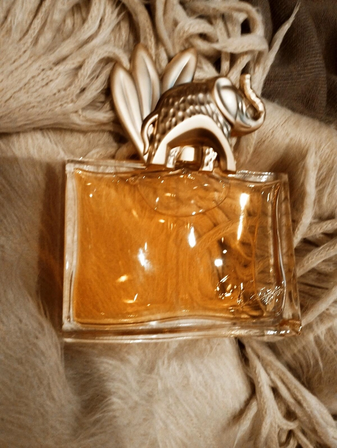 Kenzo Jungle L'elephant